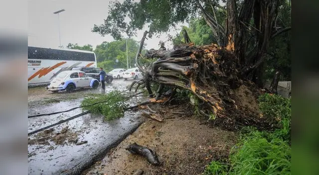 Los meteorólogos han advertido que Ida puede causar una marejada y vientos huracanados que pueden llegar a ser "catastróficos". Foto: Reuters Los meteorólogos han advertido que Ida puede causar una marejada y vientos huracanados que pueden llegar a ser "catastróficos". Foto: Reuters