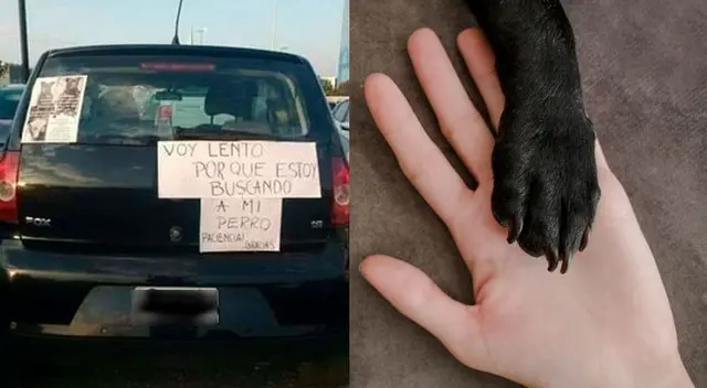 Historia difundida en Facebook llamó la atención de los usuarios.