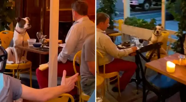 El video enterneció a todos en las redes sociales.