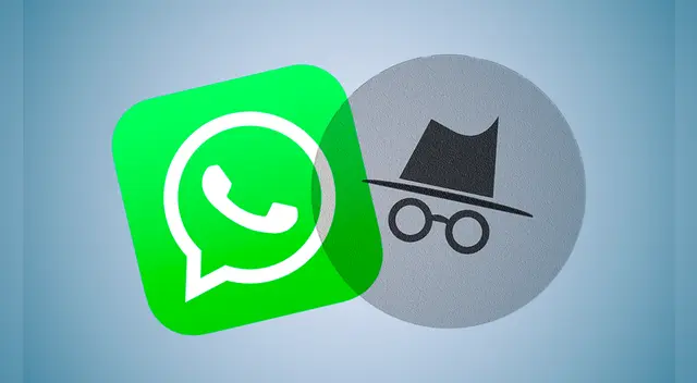 WhatsApp tiene opciones que te permitirán escoger qué detalles quieres que sean públicos y cuáles no. Foto: La República WhatsApp tiene opciones que te permitirán escoger qué detalles quieres que sean públicos y cuáles no. Foto: La República