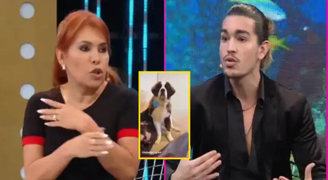 Giussepe Benigni se defiende de maltrato a su perrito Baloo.