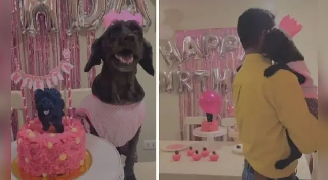 La tierna escena logró cautivar a miles usuarios en las redes sociales. Foto: captura de TikTok