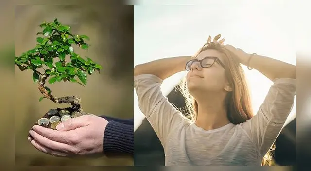 ¿Qué pasos puedo seguir para alcanzar el bienestar absoluto?