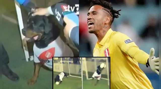 El video se ha vuelto viral en las redes sociales. El video se ha vuelto viral en las redes sociales.