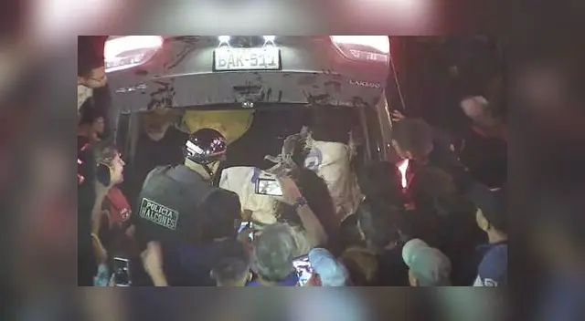 El vehículo transportaba cachorros sin vida para ser comercializados a locales de comida china. El vehículo transportaba cachorros sin vida para ser comercializados a locales de comida china.