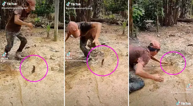 El divertido video logró obtener más 28 millones de reproducciones en TikTok.