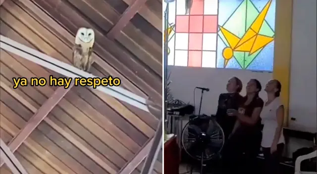 El cómico video viene acumulando más de 2 millones de me gustas en TikTok. El cómico video viene acumulando más de 2 millones de me gustas en TikTok.