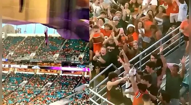 Felino de un momento a otro se robó la atención de los espectadores. Felino de un momento a otro se robó la atención de los espectadores.