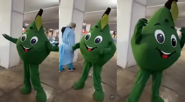 Peculiar video de la ‘Palta emocionada’ se hizo viral en las redes sociales. Peculiar video de la ‘Palta emocionada’ se hizo viral en las redes sociales.