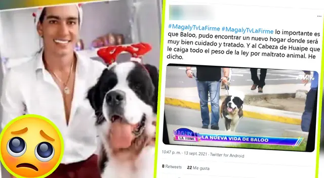Giuseppe Benignini vendió a mil dólares a su perrito Baloo.