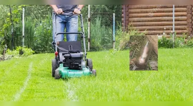 Joven cortaba el césped y encontró por sorpresa un pene en un frasco | Foto: Getty Images
