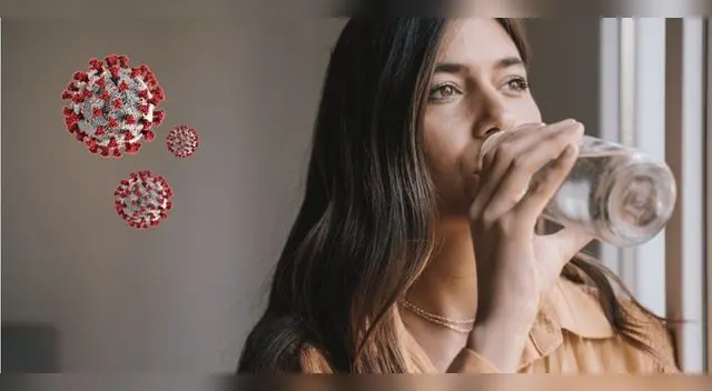 Coronavirus: mantener una buena hidratación ayuda en la recuperación de pacientes infectados con el virus. Coronavirus: mantener una buena hidratación ayuda en la recuperación de pacientes infectados con el virus.