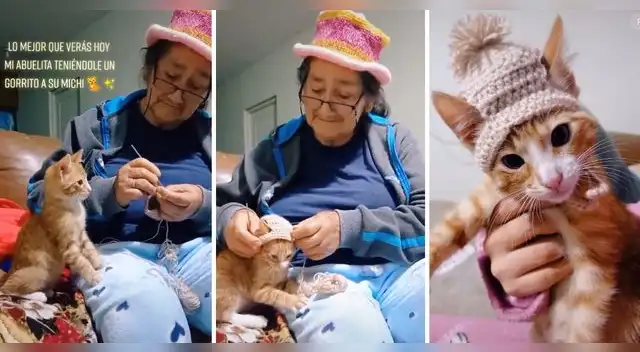 Lo más lindo. Abuela consentidora tejió lindo sombrero a su gatito para que no pase frío.