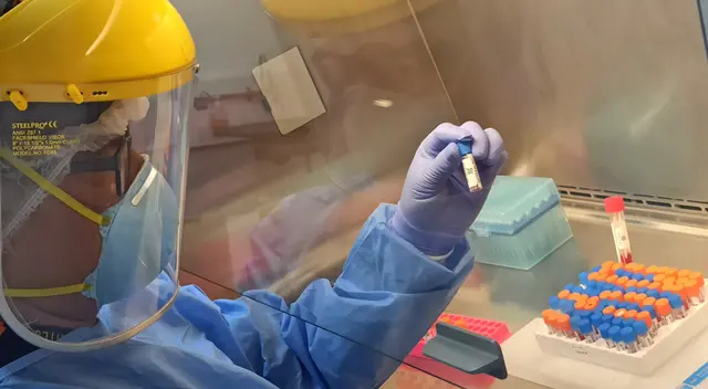 Variante Delta de la COVID-19 sería la dominante en el Perú Variante Delta de la COVID-19 sería la dominante en el Perú