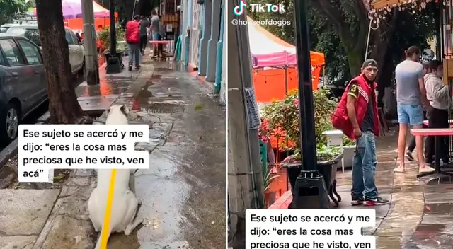 El can esperó a que el hombre se retire para seguir caminando con su dueña. El can esperó a que el hombre se retire para seguir caminando con su dueña.