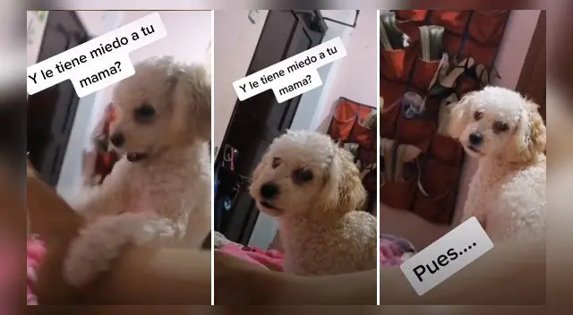 La escena ha causado sensación en las redes sociales. La escena ha causado sensación en las redes sociales.