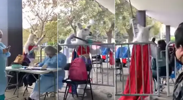 Peculiar escena en vacunatorio limeño se hizo viral en las redes sociales. Peculiar escena en vacunatorio limeño se hizo viral en las redes sociales.