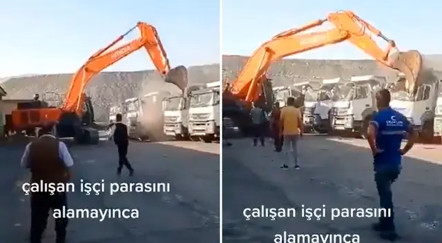 El insólito hecho ocurrió en Turquía.