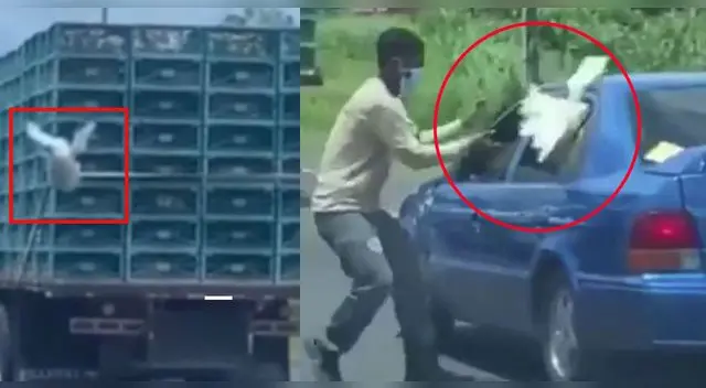 El hecho no ha tardado en volverse viral en las redes sociales. El hecho no ha tardado en volverse viral en las redes sociales.