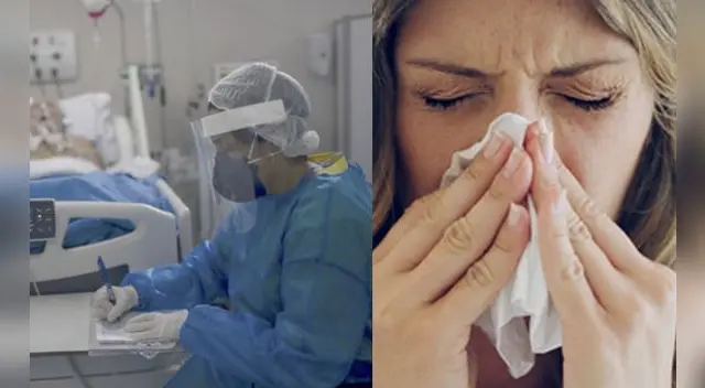 Estudio reveló cuánto tiempo tardará la COVID-19 en convertirse en un resfriado común. Estudio reveló cuánto tiempo tardará la COVID-19 en convertirse en un resfriado común.