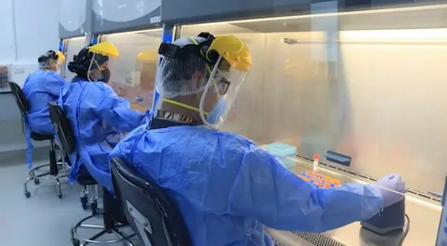 Instituto Nacional de Salud identifica nuevo sub-linaje P.1.12 de la variante Gamma con genomas peruanos