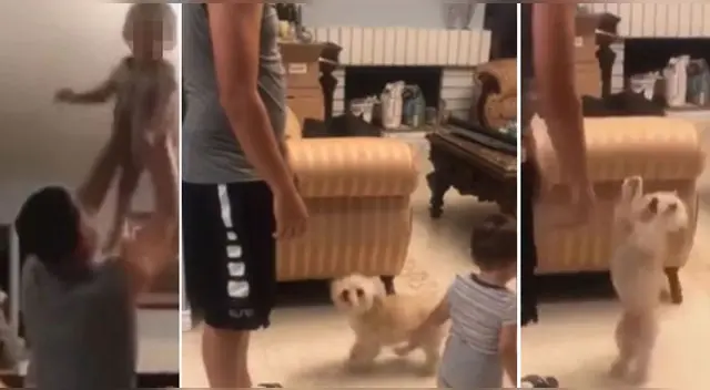 El hecho no ha tardado en volverse viral en las redes sociales. El hecho no ha tardado en volverse viral en las redes sociales.