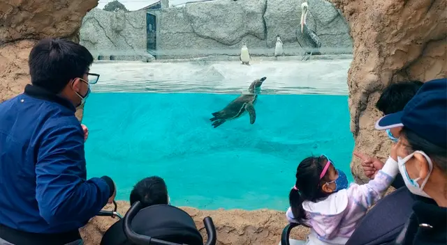 Parque de las Leyendas.