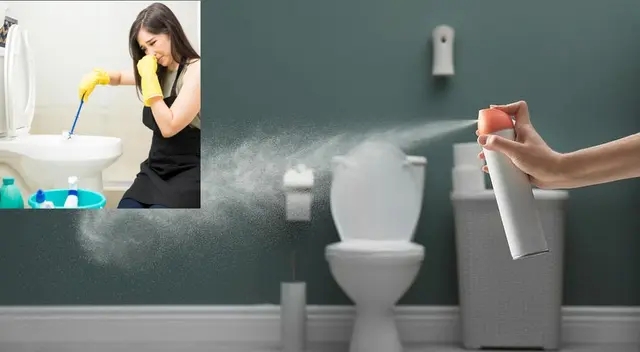 La limpieza continua ayudará a evitar el mal olor. La limpieza continua ayudará a evitar el mal olor.