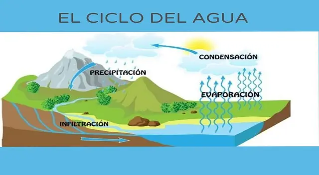 Es importante conocer el ciclo hidrológico para preservar el agua.