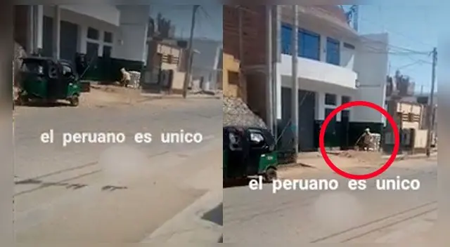 La escena ha causado furor en las redes sociales. La escena ha causado furor en las redes sociales.