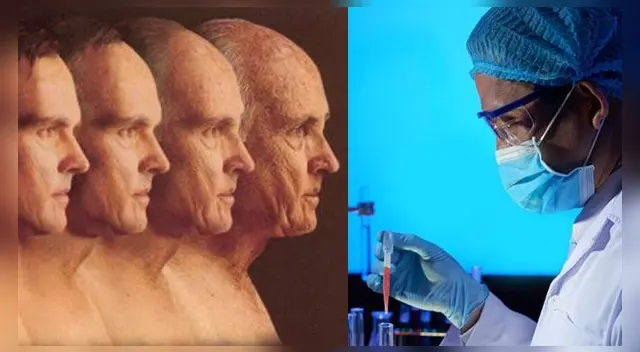 Estudio afirma que las personas pueden vivir indefinidamente. Estudio afirma que las personas pueden vivir indefinidamente.