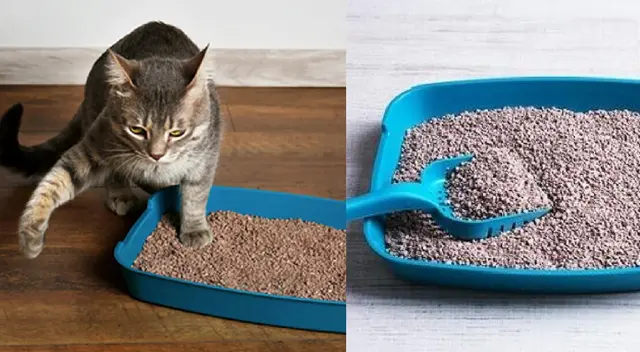 El cuidado del arenero.