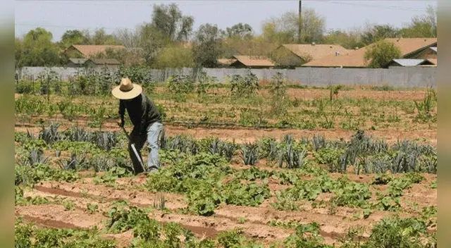 Midagri: segunda reforma agraria será con visión empresarial