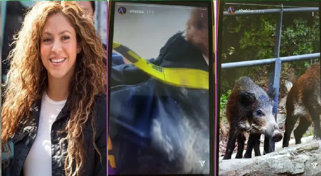 Shakira narró en su Instagram cómo recuperó sus cosas.