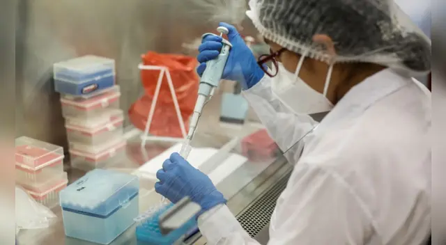 Los resultados de la aplicación mostraron que los inoculados no presentaron respuesta negativa inmunitaria.