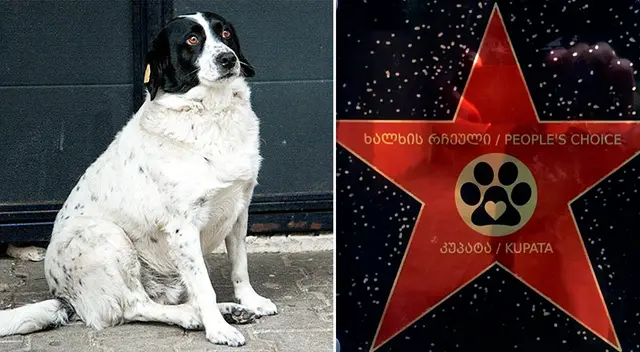 Kupata se hizo viral en Facebook por su acción noble.