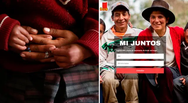 Consultar con DNI si tu hijo de dos años recibirá el Bono Niños.