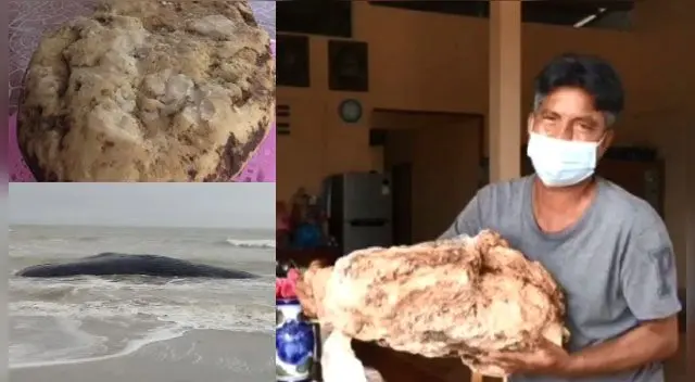 El increíble hecho ocurrió en Tailandia. El increíble hecho ocurrió en Tailandia.