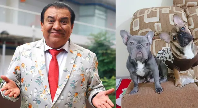 Manolo Rojas pide ayuda para recuperar a sus mascotas.