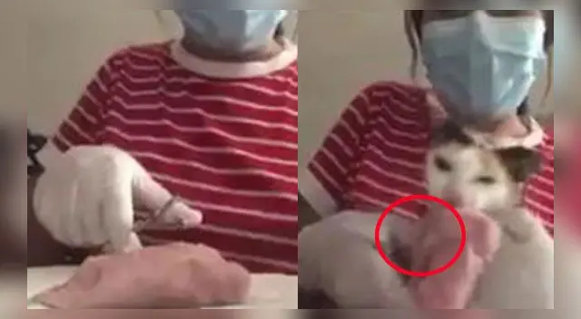 La escena se volvió viral en las redes sociales.