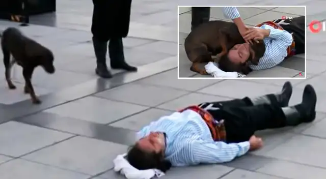 El perrito creyó que el hombre estaba sufriendo por lo que decidió consolarlo.