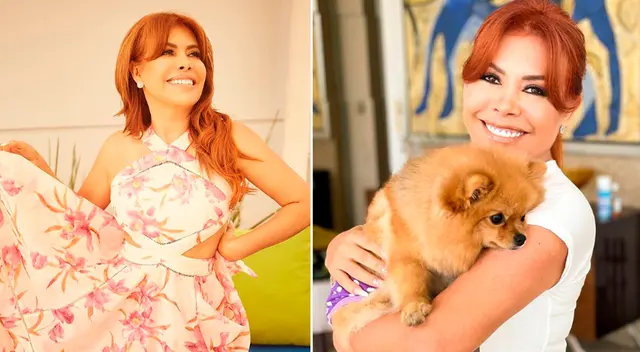 Magaly Medina sorprende con nuevo reel en Instagram. Magaly Medina sorprende con nuevo reel en Instagram.