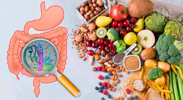 Todas tus comidas deben componerse principalmente de alimentos ricos en fibra. Todas tus comidas deben componerse principalmente de alimentos ricos en fibra.