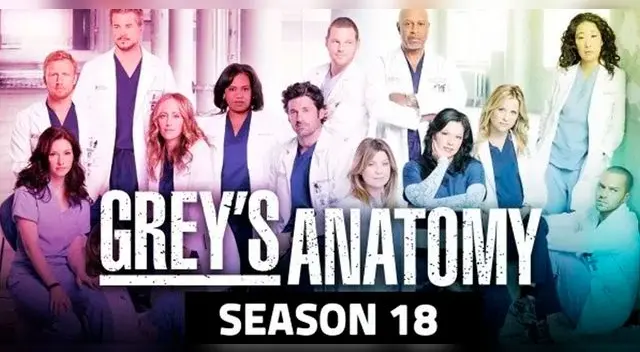 Conoce qué personajes regresarán a Grey's Anatomy en la temporada 18. Conoce qué personajes regresarán a Grey's Anatomy en la temporada 18.