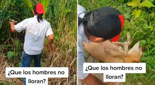 El emotivo video cuenta con 4 millones de reproducciones en TikTok.