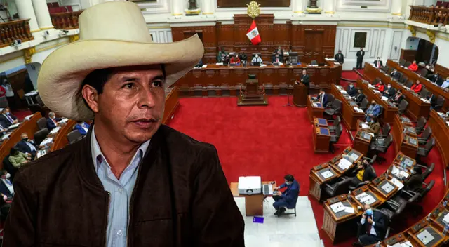 Legislativo generaría desbalance de poderes con dicha ley.