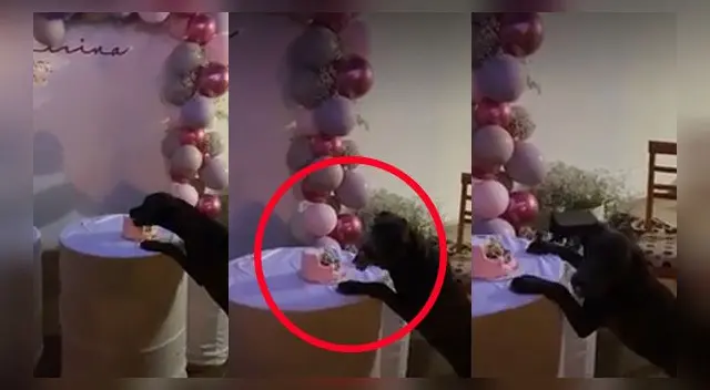 El hecho es viral en TikTok. El hecho es viral en TikTok.