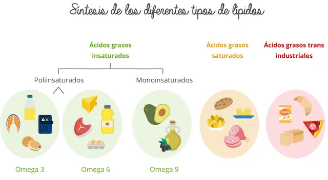 Son importantes para el almacenamiento de energía.
