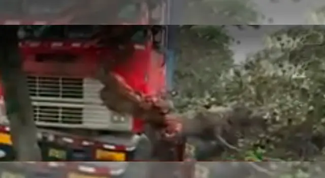 Choque de un vehículo se registró en la avenida Las Flores, SJL.