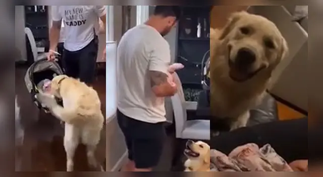 El video es viral en las redes sociales. El video es viral en las redes sociales.